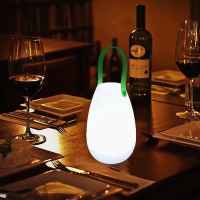 2700K CCT بلاستيك LED مصباح محمول قابلة لإعادة الشحن للمطعم